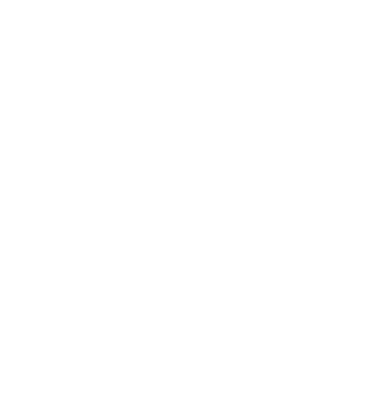 Custom Ecommerce Development